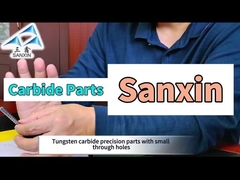 Zhuzhou Sanxin-Tungsten Carbide Precision Part Con Piccolo Buco