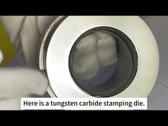 Zhuzhou Sanxin Carburo cementato - muffa