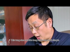 Zhuzhou Sanxin Carburo cementato - lame