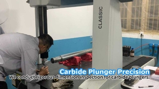 Ispezione rigorosa dello stantuffo in carburo di alta precisione